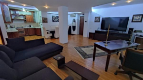 Dorobanti Luxury Apartment
